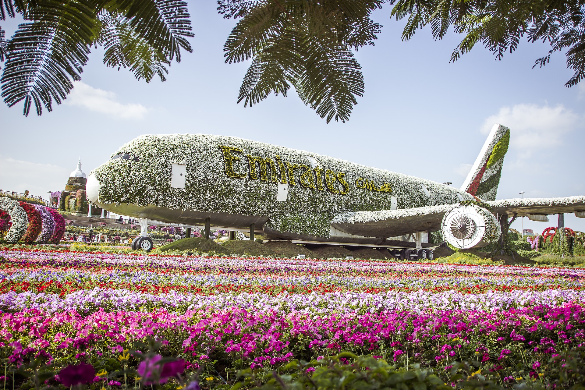 Aviación europea eliminará las emisiones de CO2